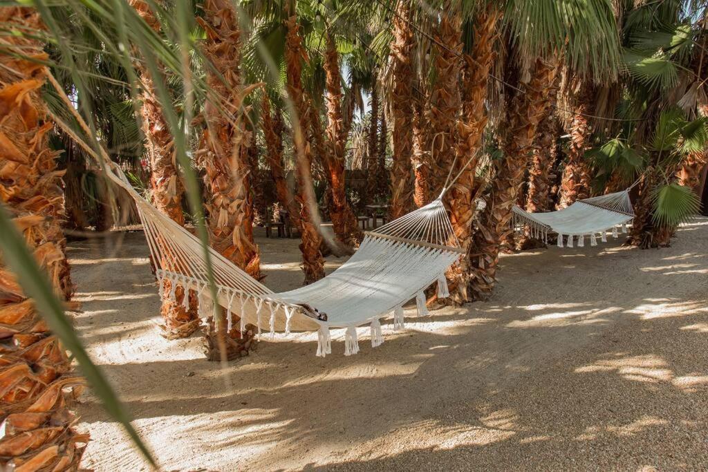 Cien Palmas- Authentic Mexican Casita 3 -Downtown Todos Santos Ngoại thất bức ảnh