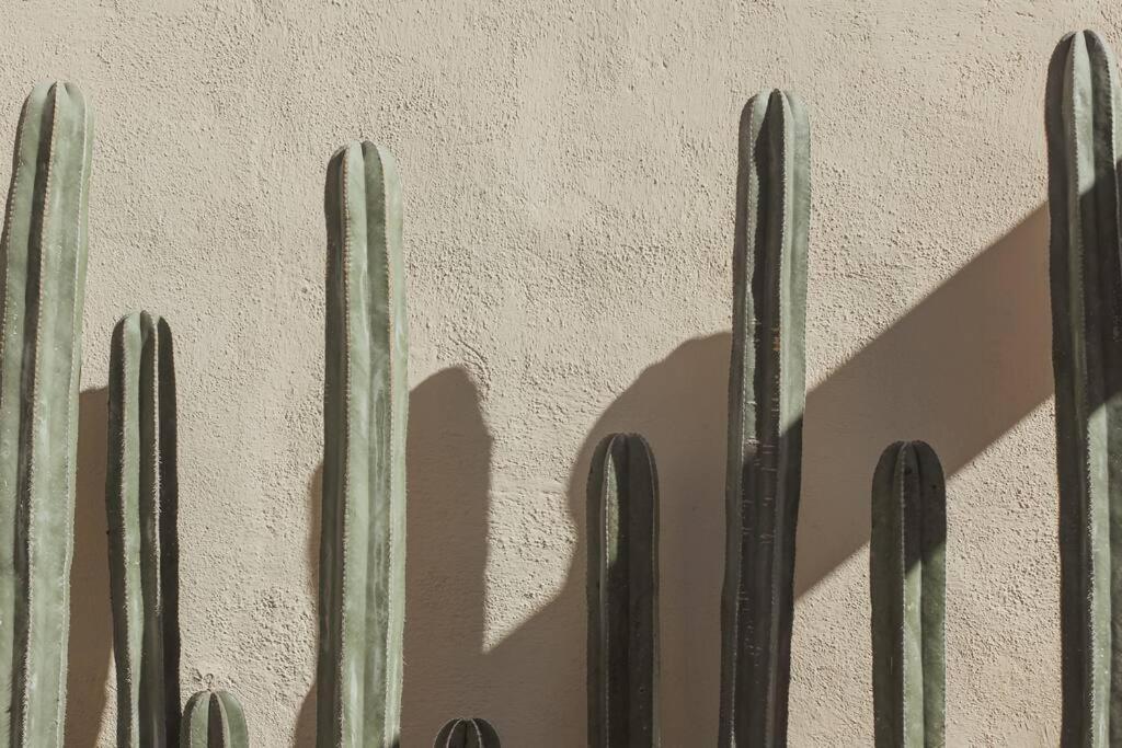 Cien Palmas- Authentic Mexican Casita 3 -Downtown Todos Santos Ngoại thất bức ảnh
